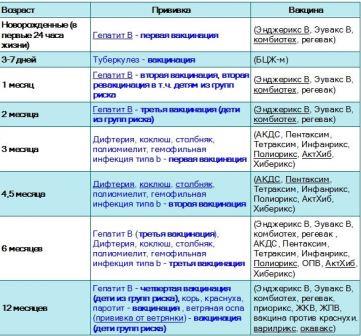 Календарь прививок до года в России